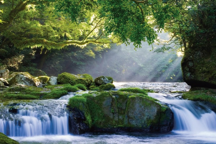 Фотообои 3д