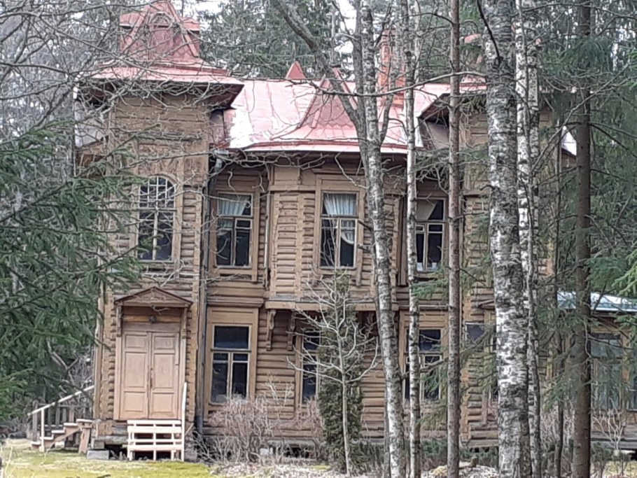 Вырица братья Васильевы дворец