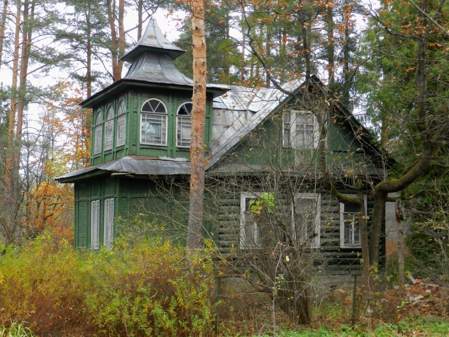 Вырица ул Осипенко 2