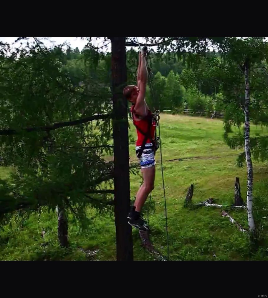 Тарзанка на дереве