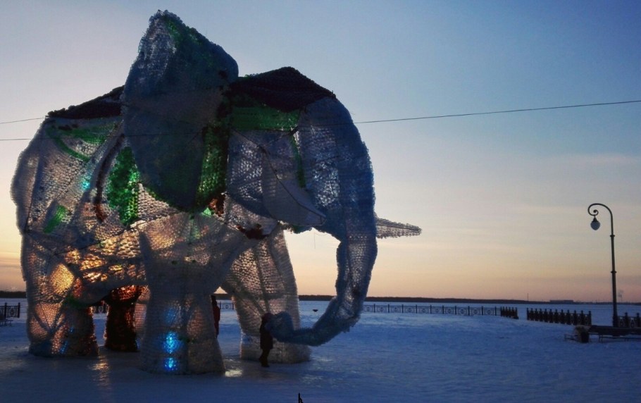 Слон Архангельск