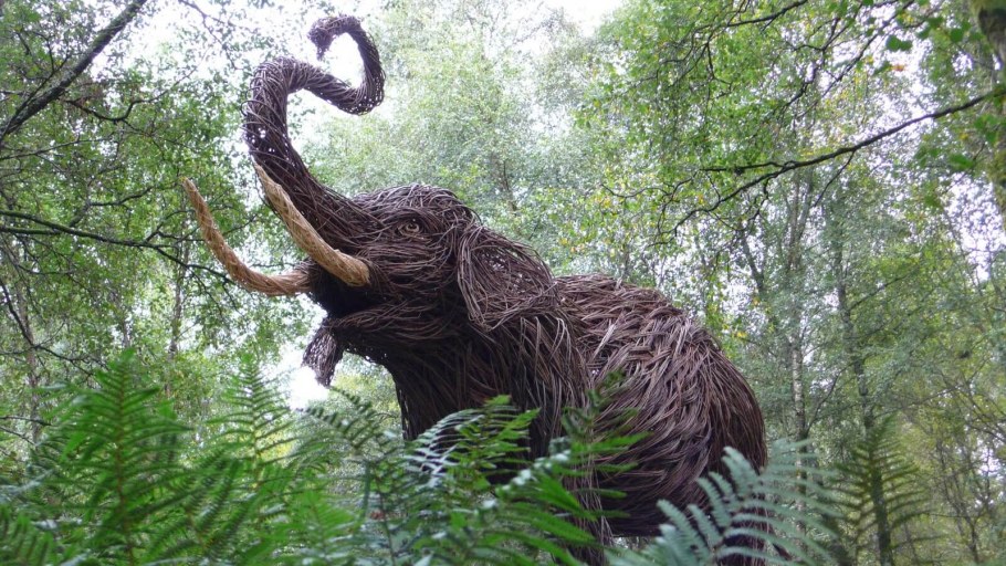 Инсталляция из мусора