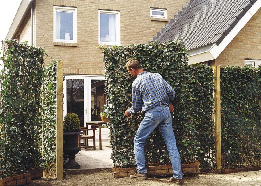 Красивый забор между соседями