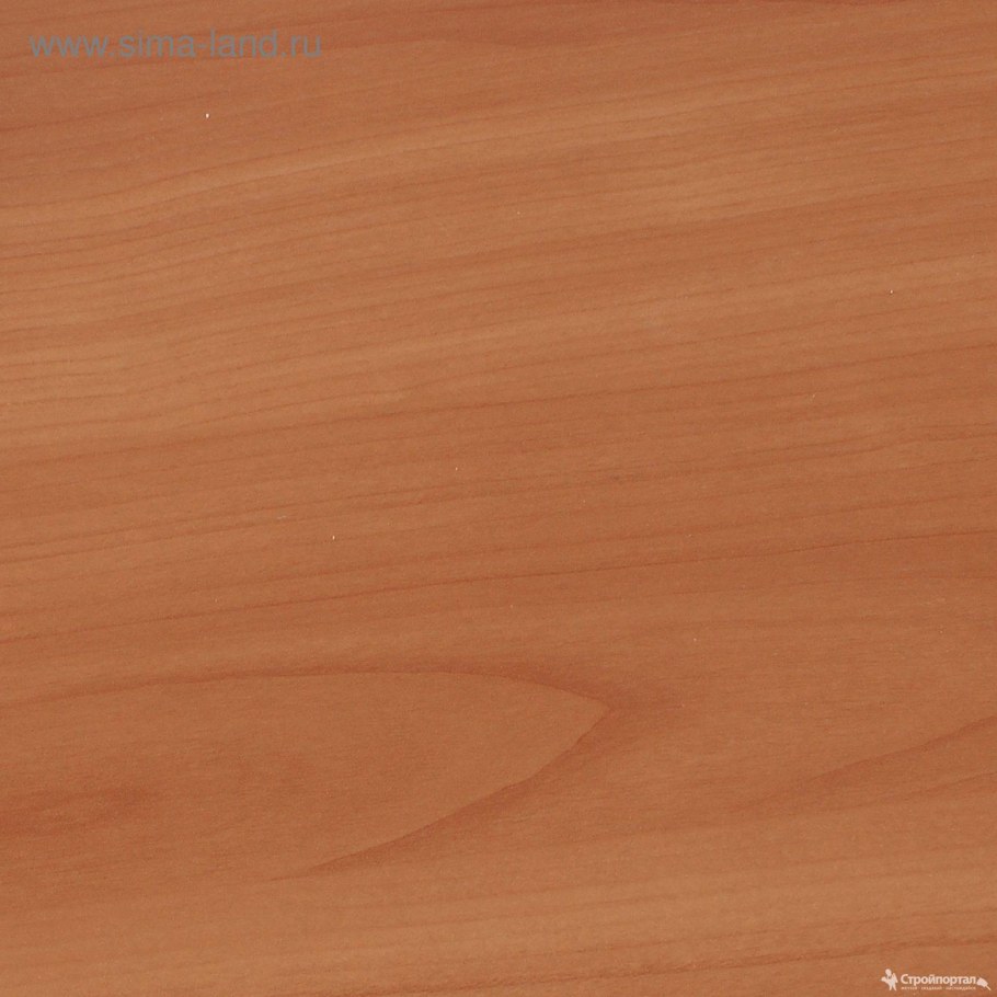 Вишня Оксфорд u9503