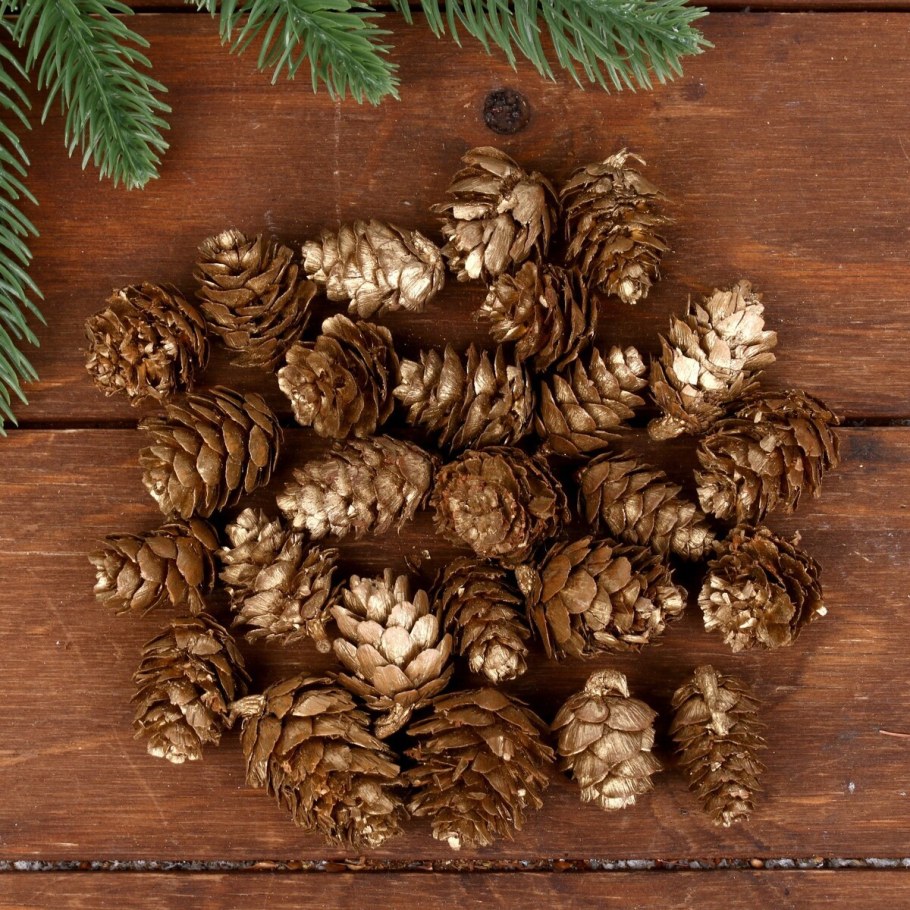 Украшение сада ракушками