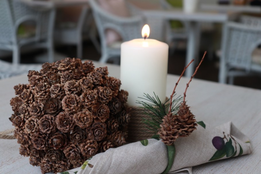 Декор из шишек для сада