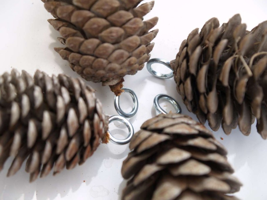 Декор шишками в интерьере