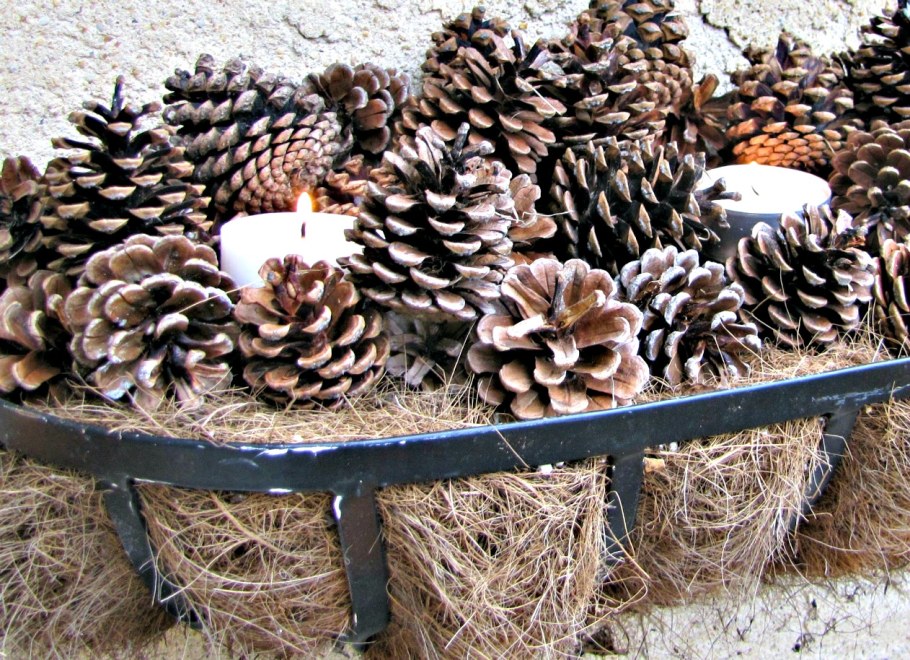 Мульчирование шишками еловыми