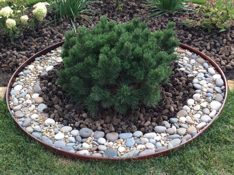 Крашеные шишки - композиции