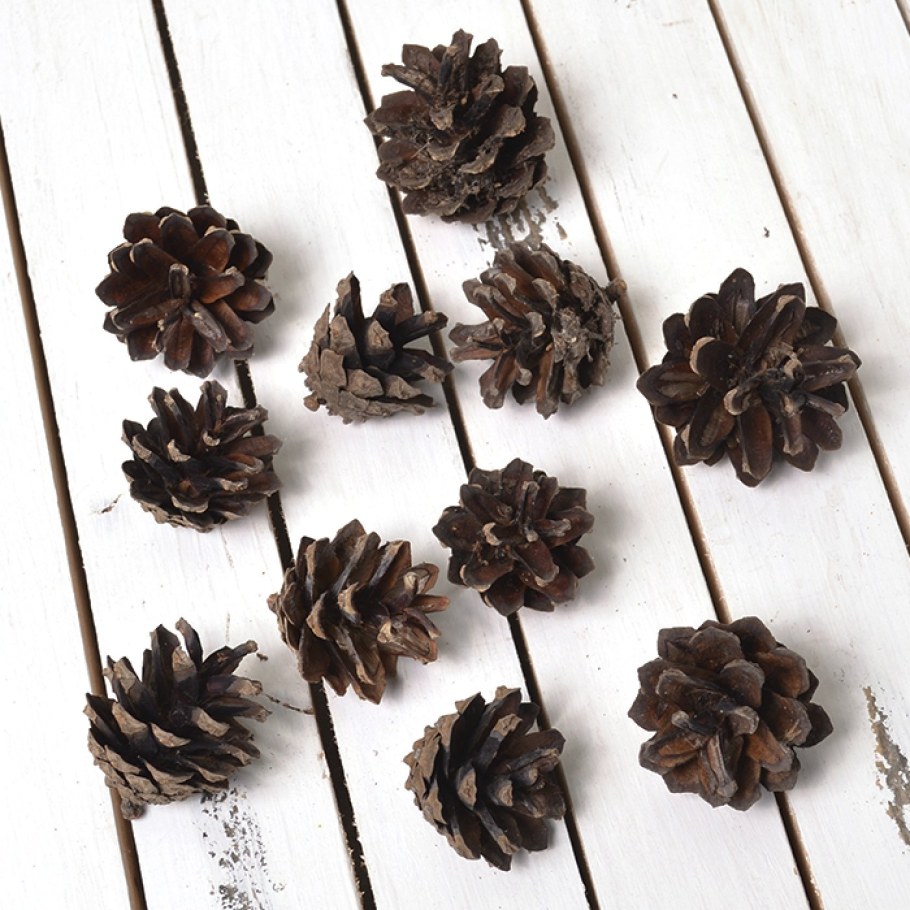 Декор из шишек для сада