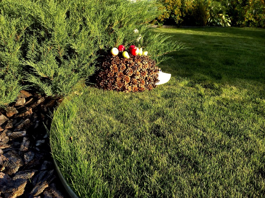 Изделия из шишек