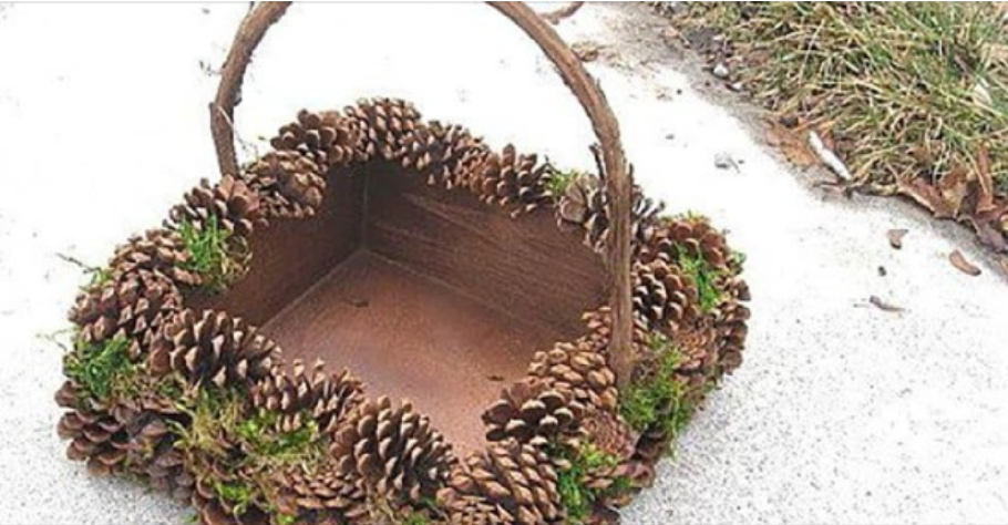 Шишки в интерьере