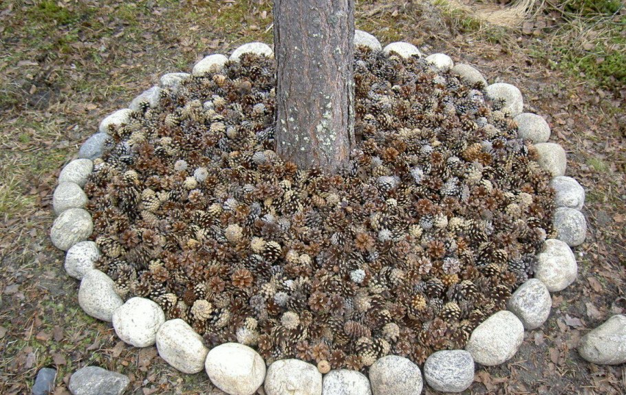 Шишки декоративные