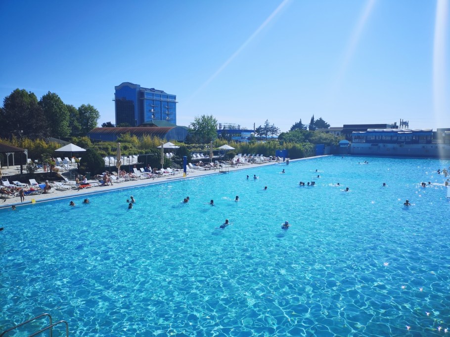 Дельфин Сочи пансионат Адлеркурорт