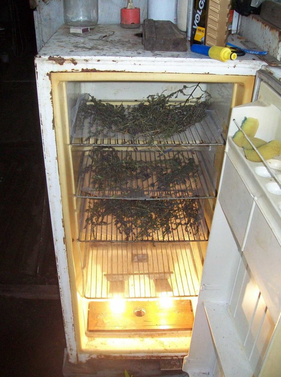 Из старого холодильника