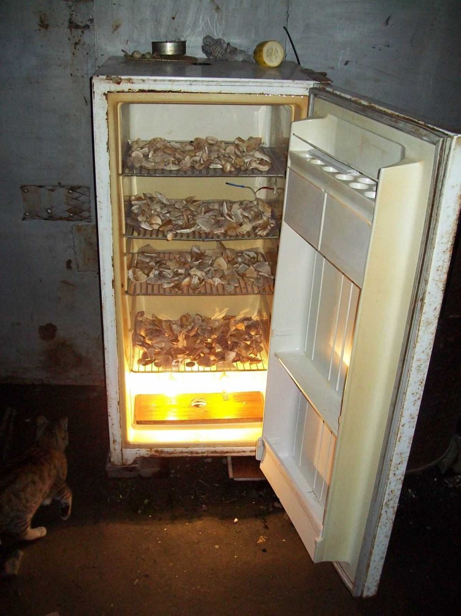 Шкаф для сушки рыбы