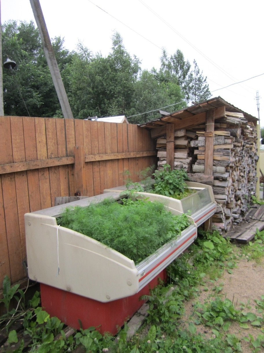 Парник из старого холодильника