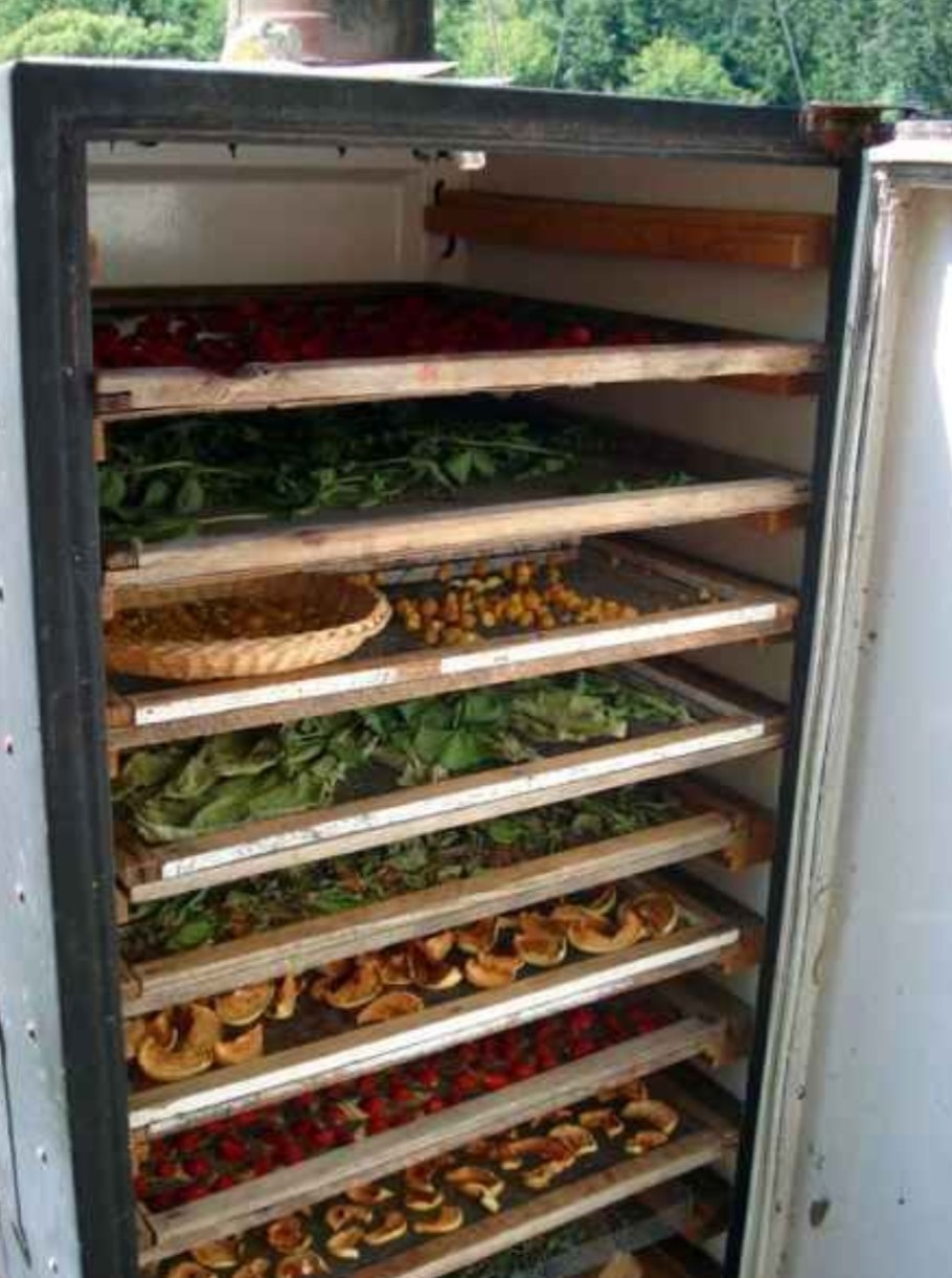 Сушилка для овощей и фруктов из холодильника