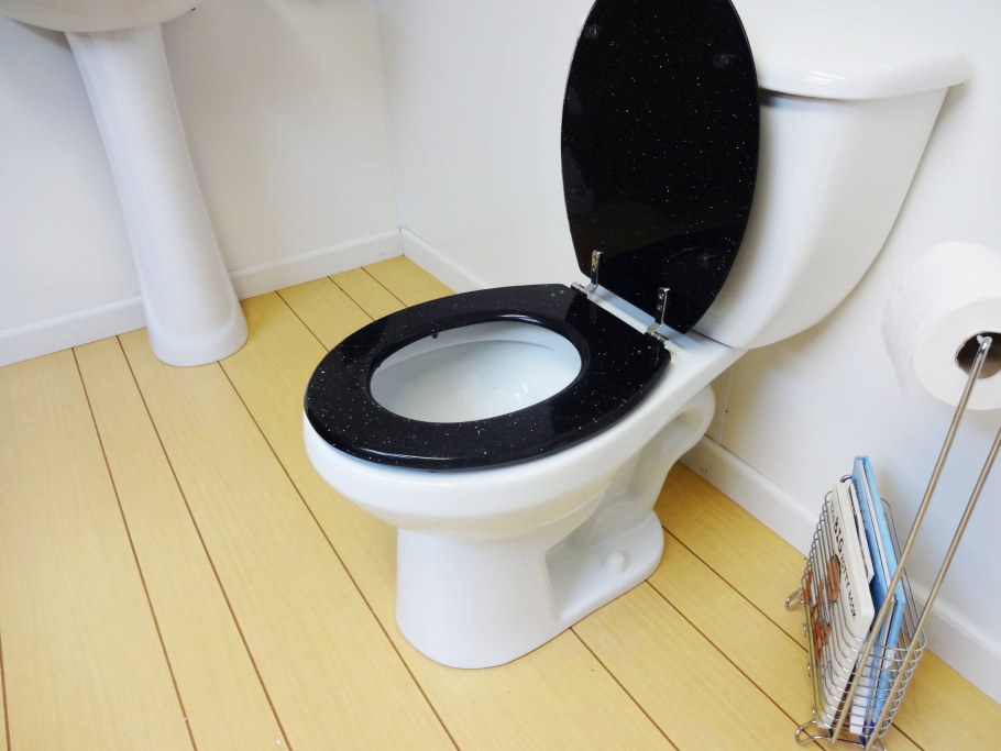 Унитаз в туалете