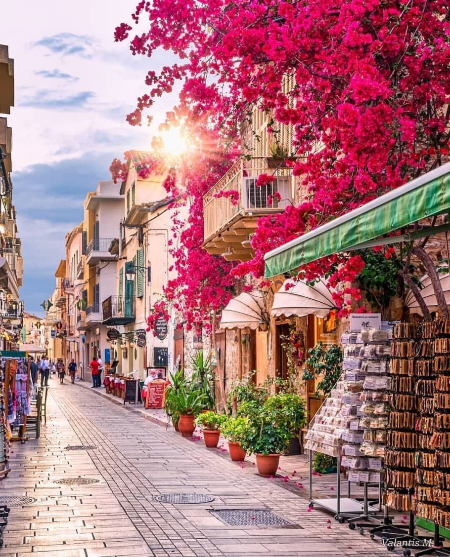 Камергерский переулок летом