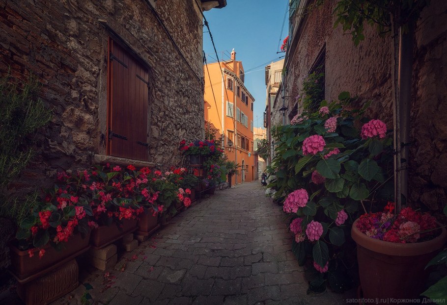 Графство Сассекс Англия