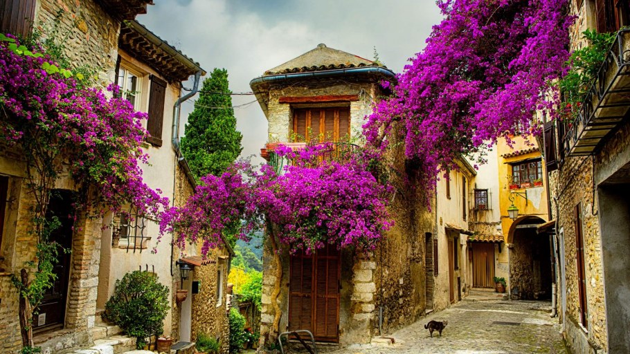 Улочки Ванкувер Канада