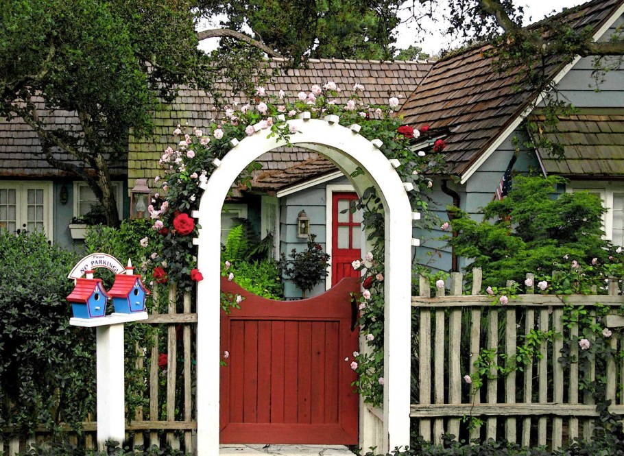 Полуарка Узорная Лиана