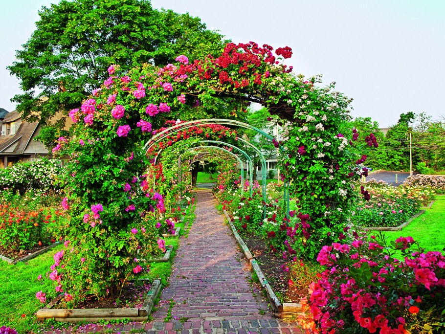 Арка на даче