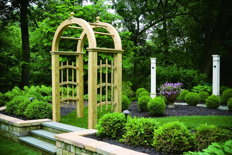 Плетистые розы Берсо