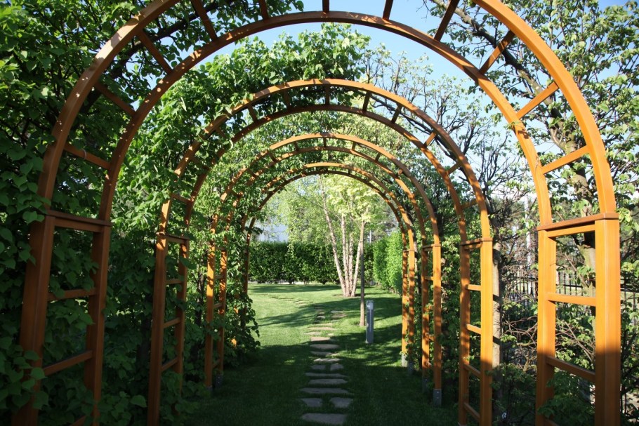 Арка увитая вьющимися растениями