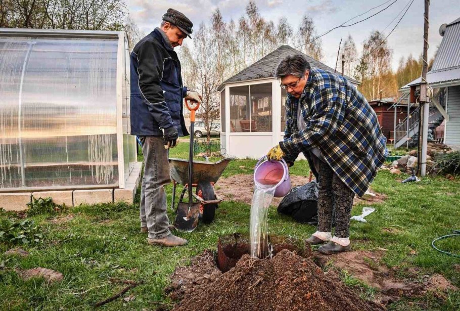Семья в загородном доме