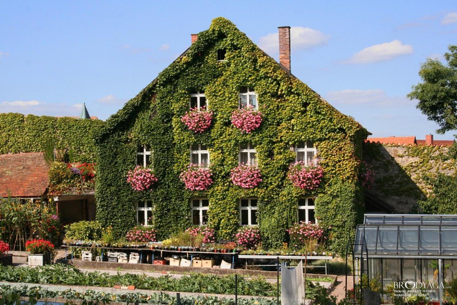 Палисад Франция сады