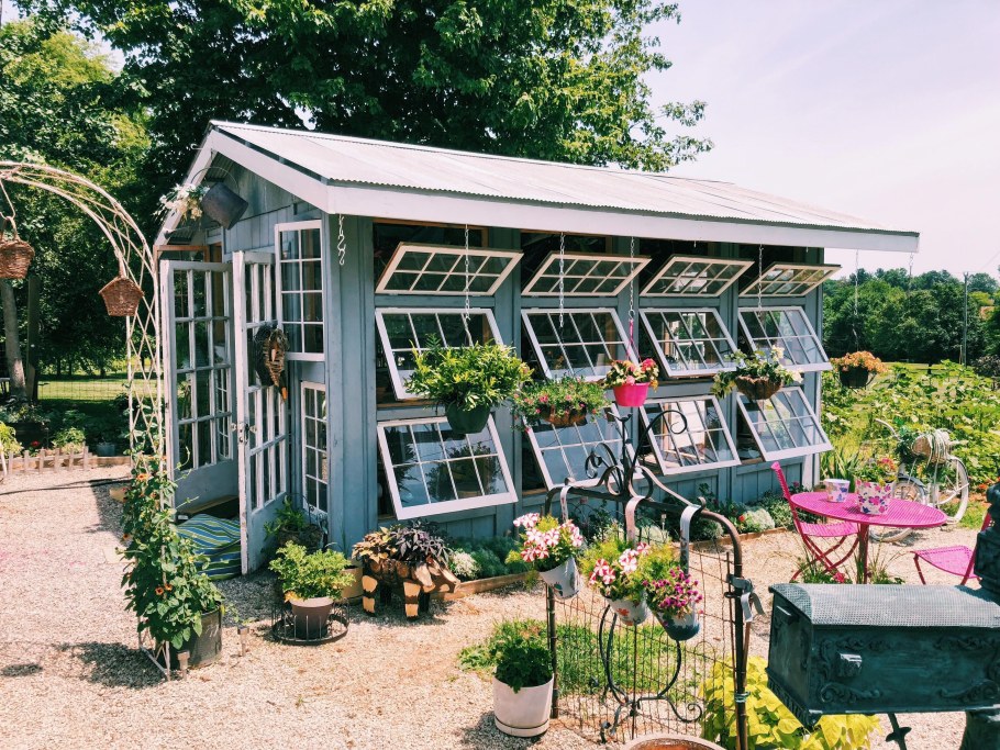 Оранжерея -теплица у Прокловой Елены