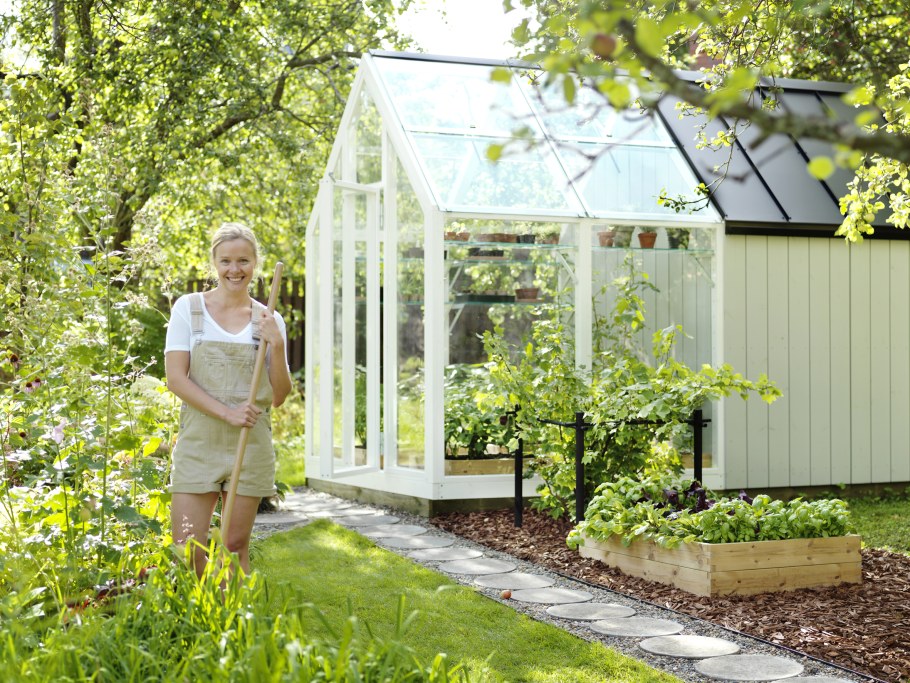 Теплица Анны Эдеи