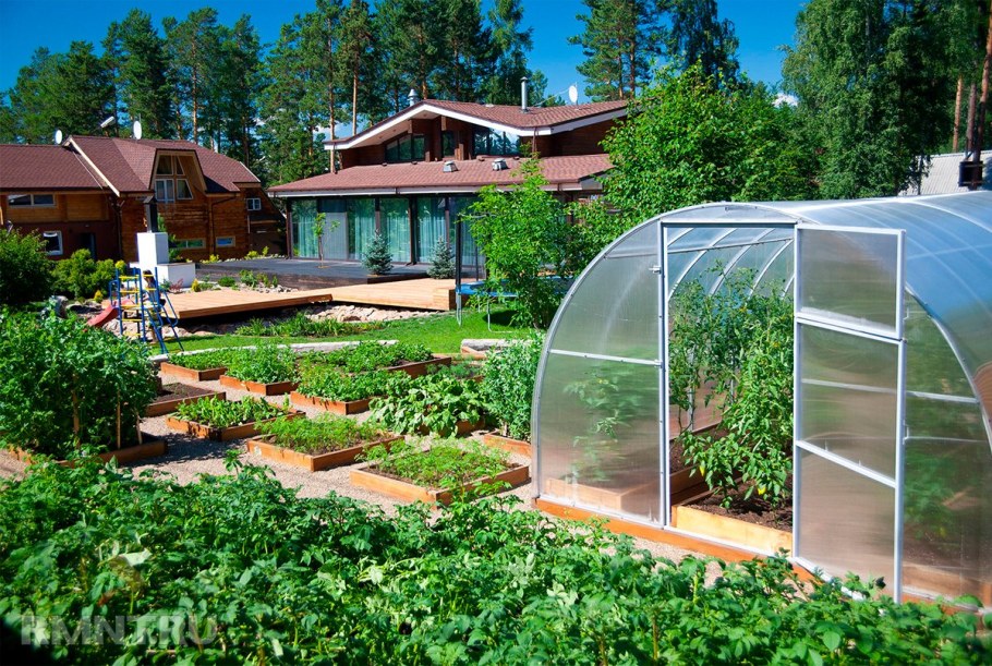 Современные теплицы