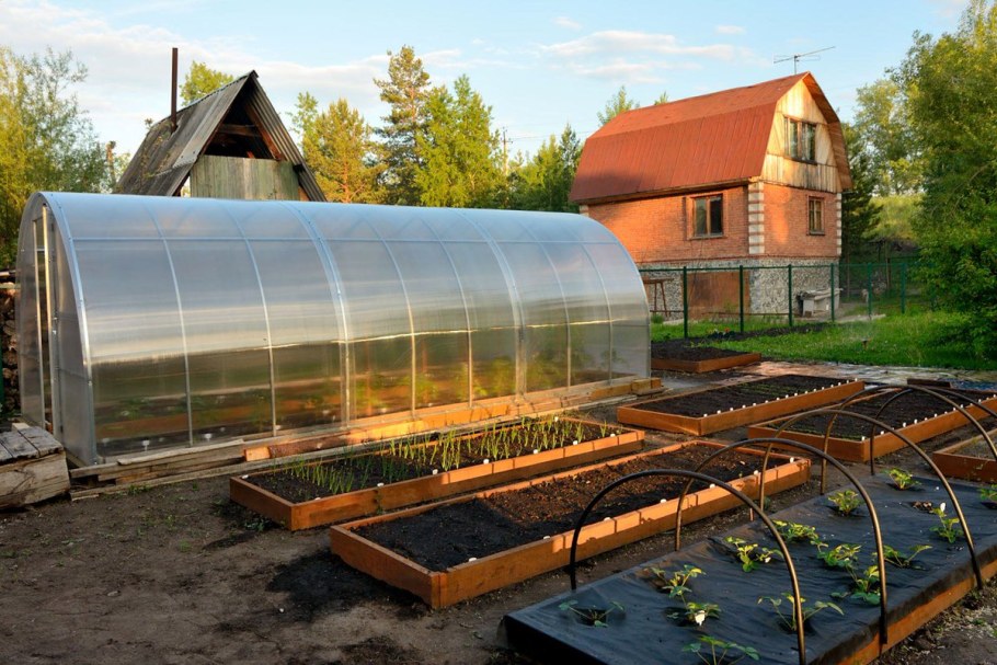 Теплица Митлайдера