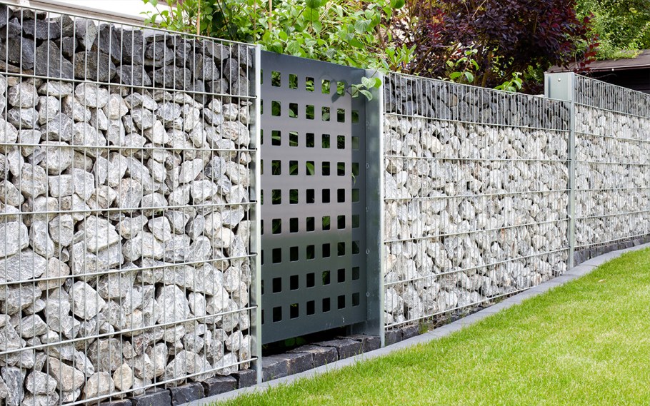 Плодовые деревья вдоль забора