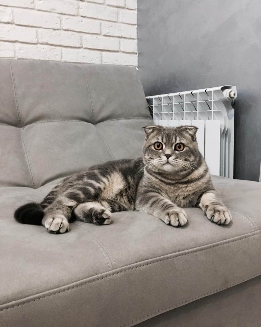 Диван книжка Люкс Логос Юг