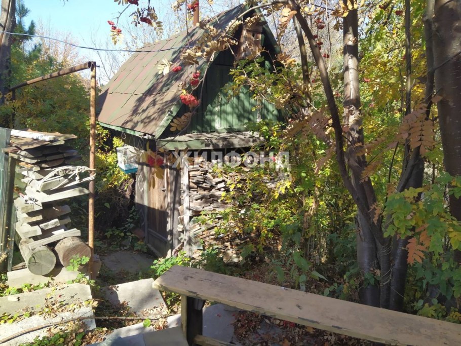 Жировская дача