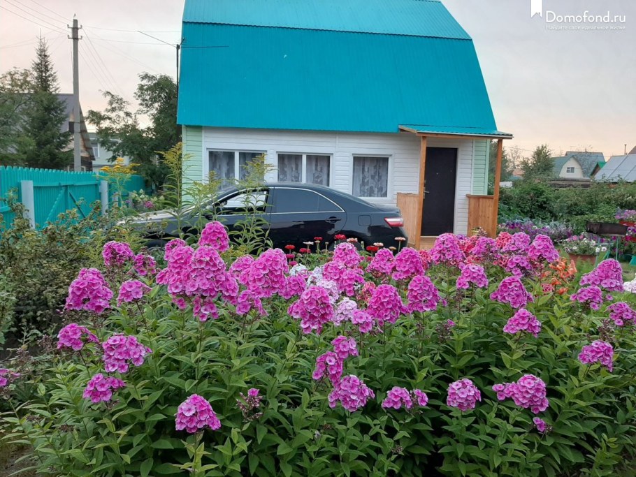 Камыш в доме