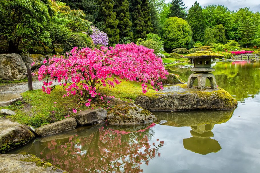 Портлендский японский сад водопад