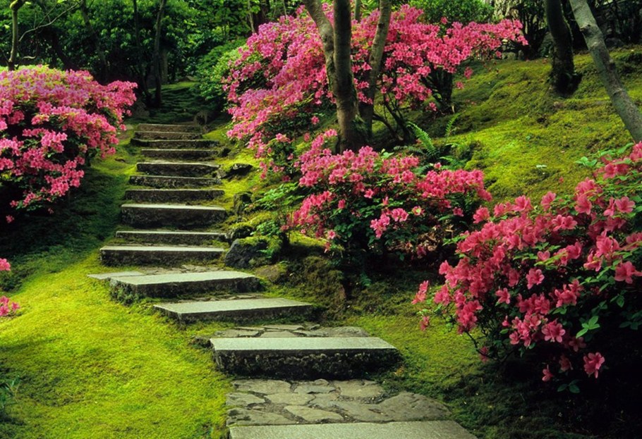 Японский садик в Ботаническом саду