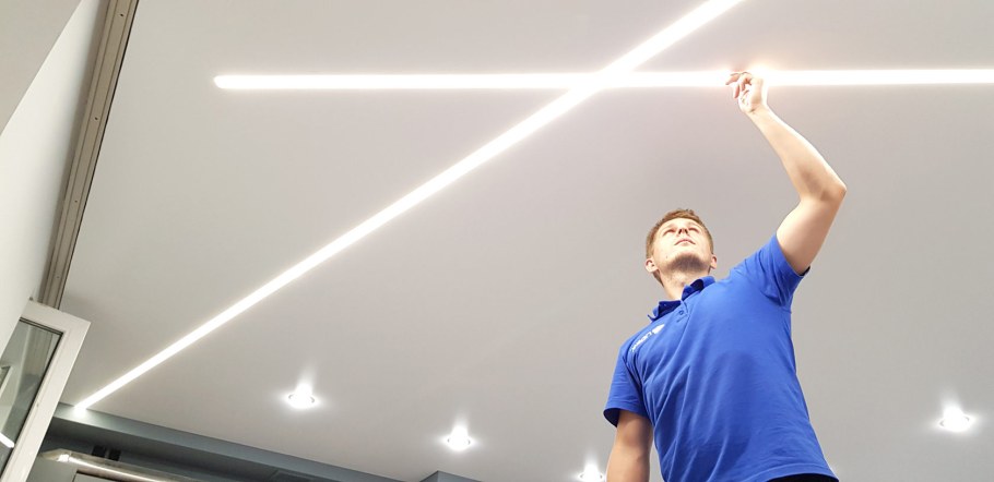 Экостиль в гостиной с фитостеной