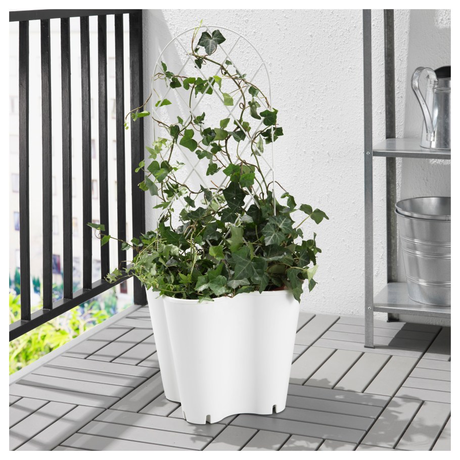 Опоры для цветов