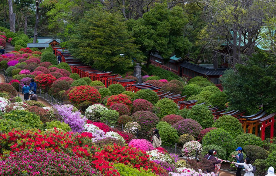 Японский сад вид сверху