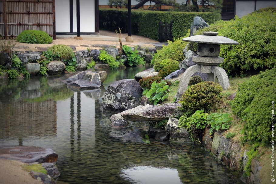 Рокарий в японском саду