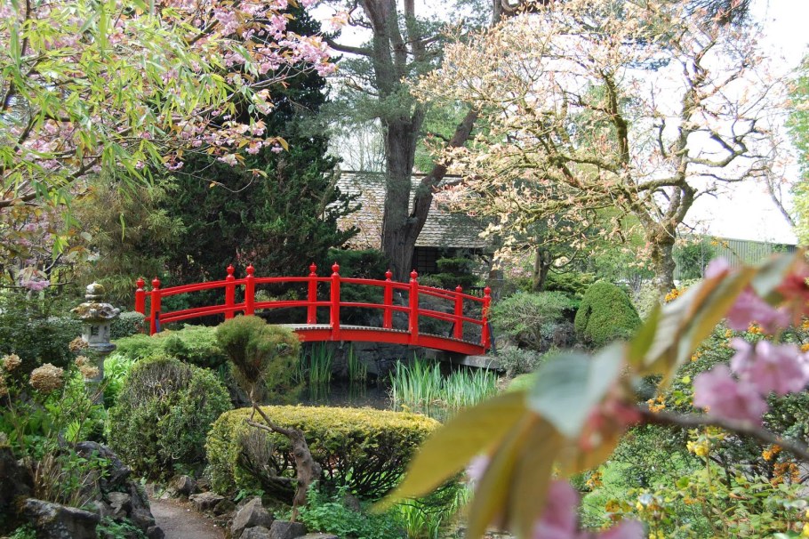 Сад монастыря Рёандзи в Киото