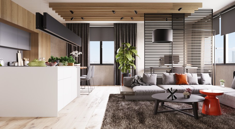 Михаил Шапошников гостиная