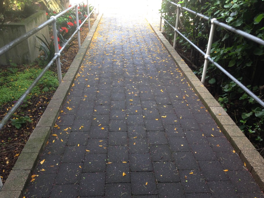 Покрытие пешеходных дорожек