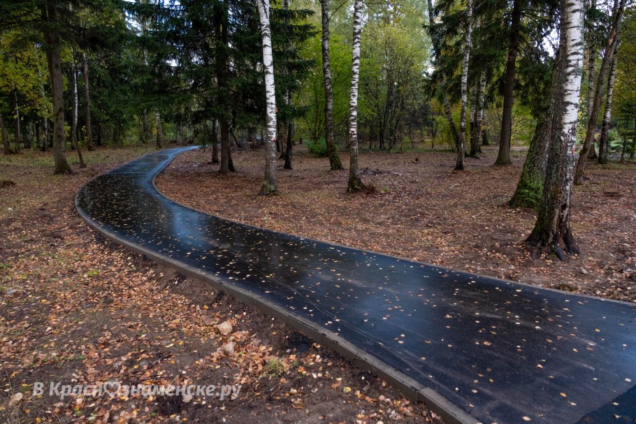 Парк Сосновка асфальтированные дорожки